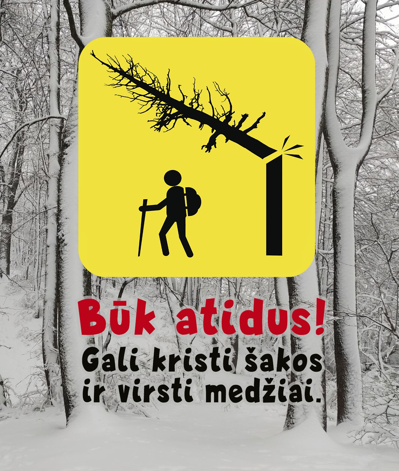 Įspėjimas nesilankyti miške dėl sniego gausos
