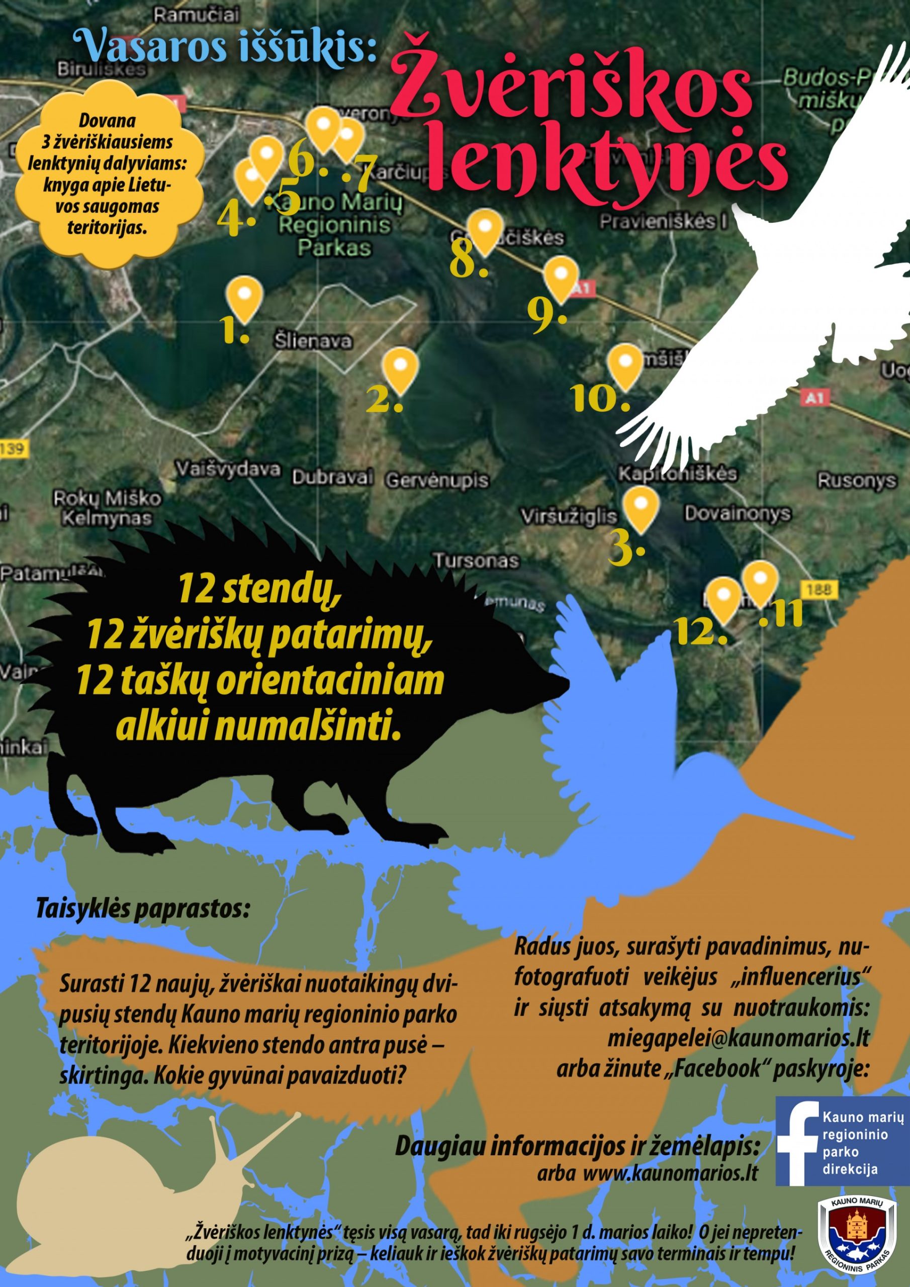 Vasaros iššūkis – žvėriškos lenktynės