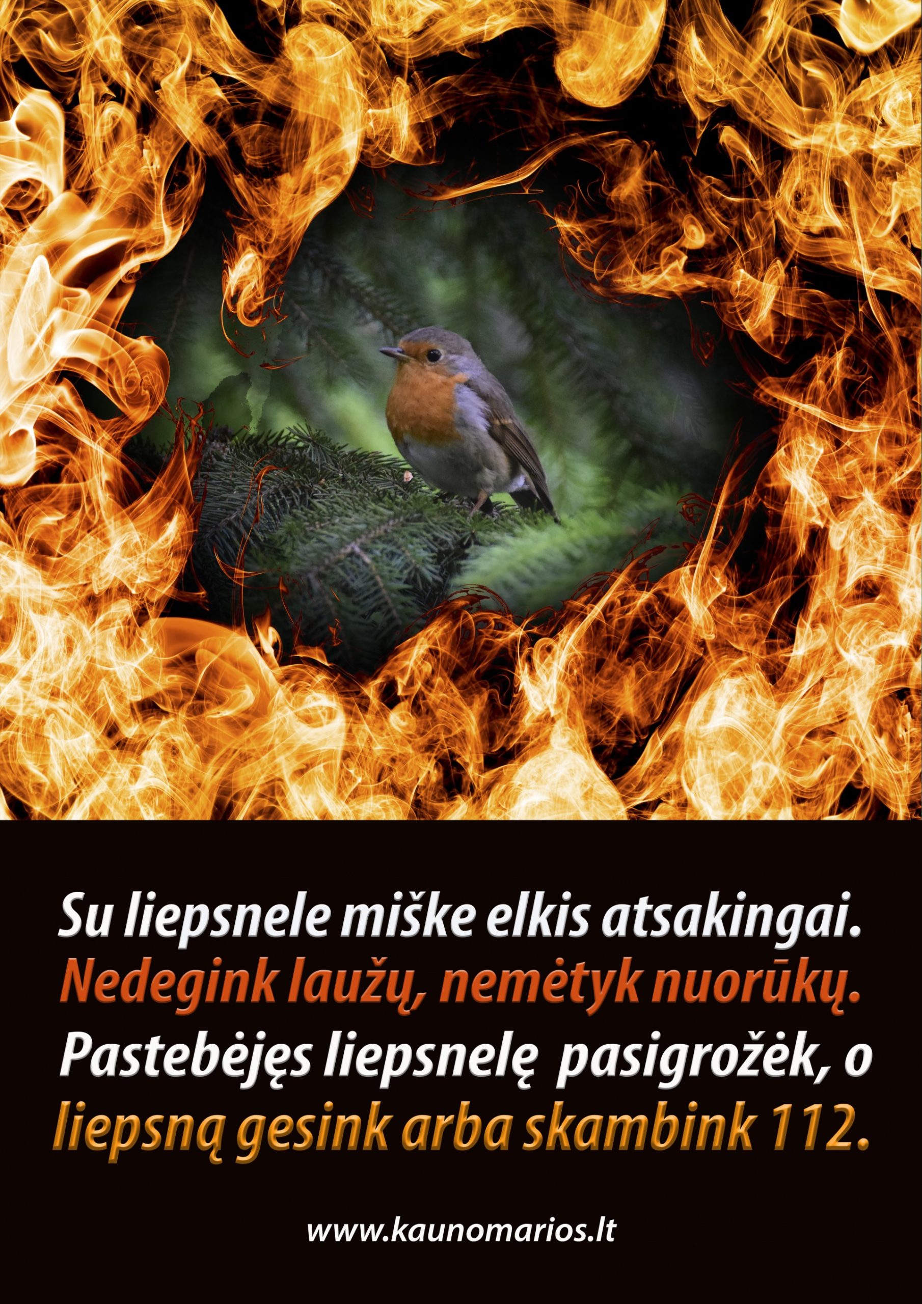 Miškuose – aukštas gaisringumo lygis: lankytojų prašome elgtis atsakingai