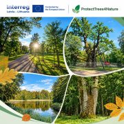 Projektas „Medžių ir parkų vertinimas bei priežiūra biologinės įvairovės tikslais“