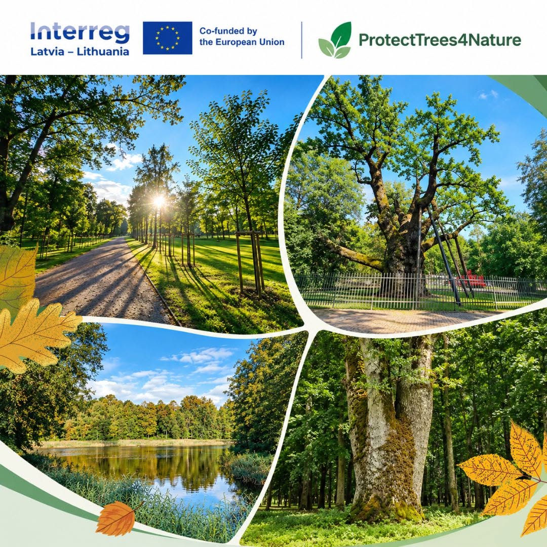 Projektas „Medžių ir parkų vertinimas bei priežiūra biologinės įvairovės tikslais“